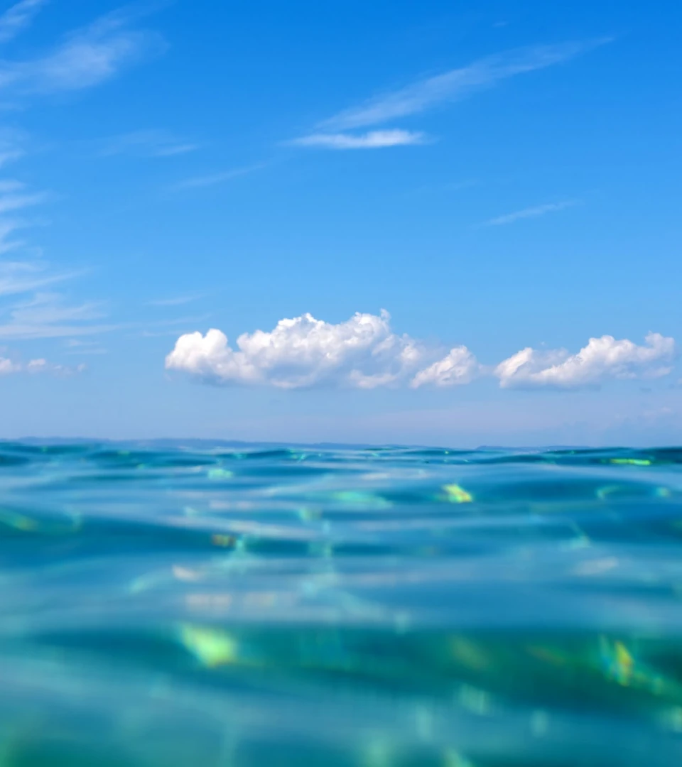 Ocean diving with DiveCreation in Playa del Carmen Mexico